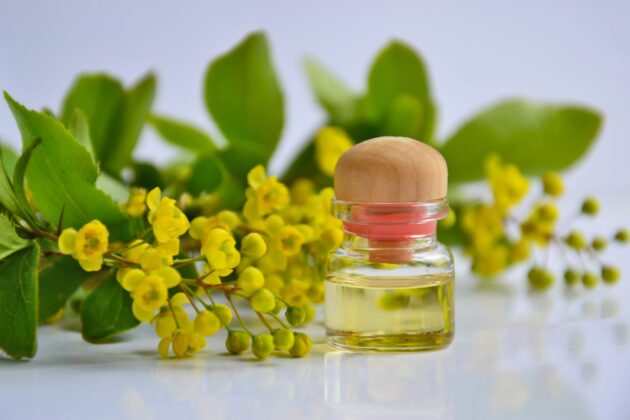 herbal-scaled.jpeg Rasayana - Rejuvenation