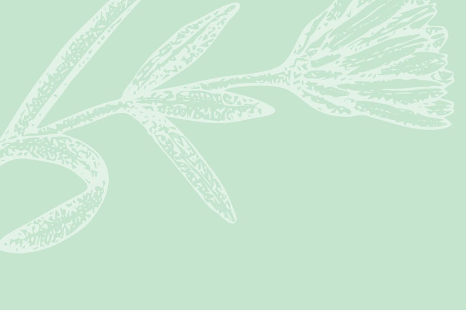home background