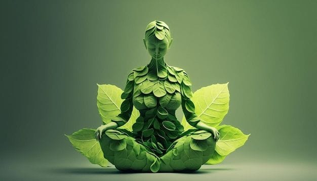 INTERNATIONAL YOGA DAY CELEBRATION AT LIV AYURVEDA 2025